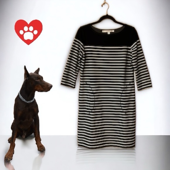 Max Studio Black & White Striped 3/4 Sleeve Shift Dress - Picture 8 of 15